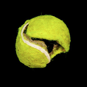 Yellow tennis ball on black background print